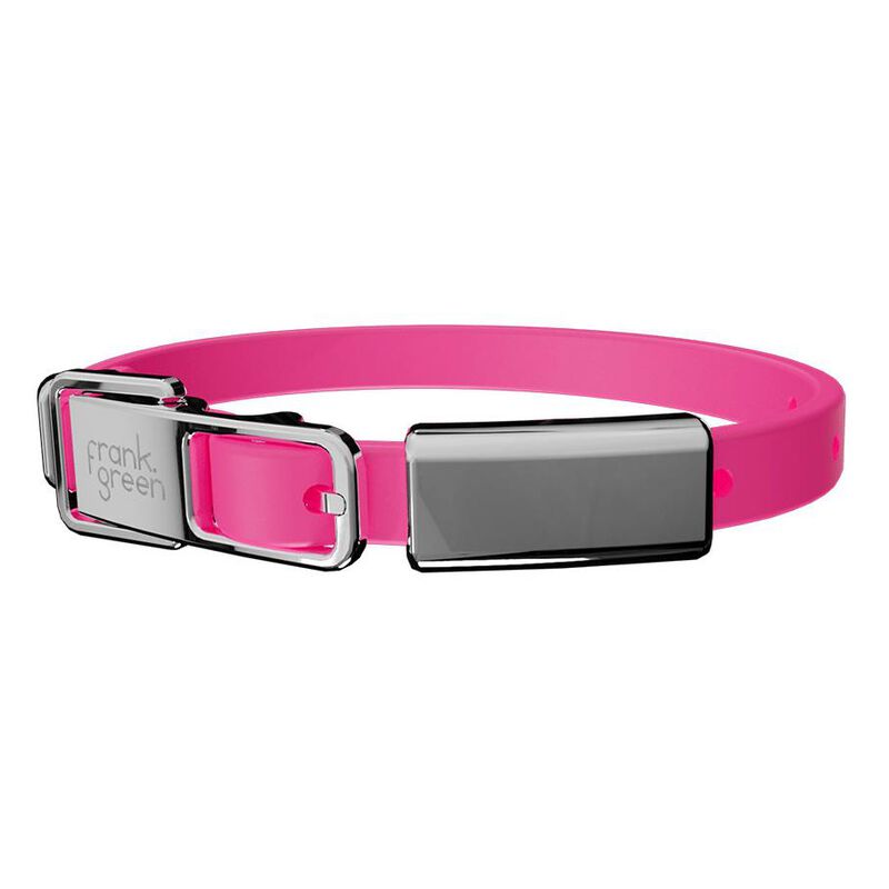 frank green Pet Collar + Name Tag Small Neon Pink image number 0
